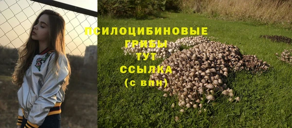 соль курить ск Алзамай
