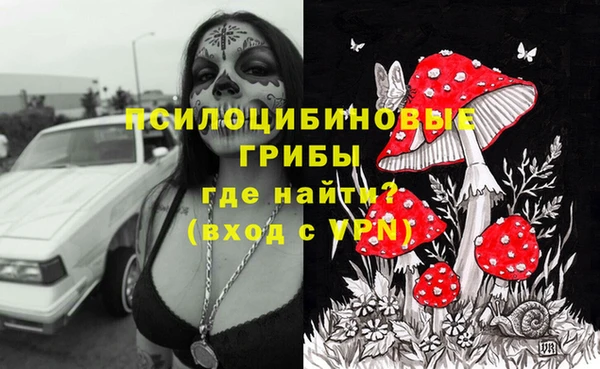соль курить ск Алзамай